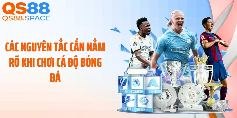 Các nguyên tắc cần nắm rõ khi chơi cá độ bóng đá